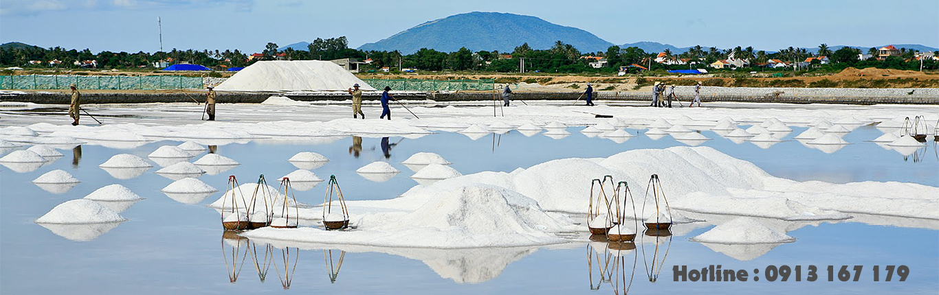 lecithin , muối minh quyên