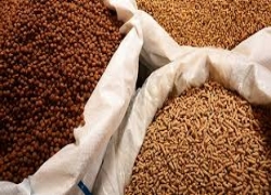 Thị trường phụ gia thức ăn chăn nuôi toàn cầu phát triển