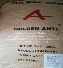 VITAL WHEAT GLUTEN