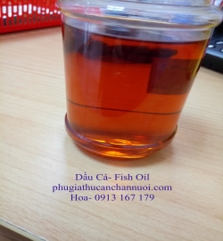 DẦU CÁ - SALMON FISH OIL